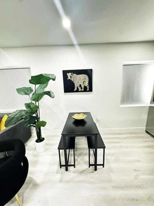 Where Comes Alive Apartamento Miami